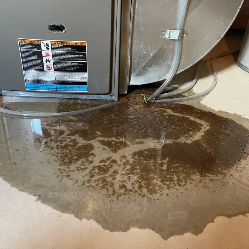 Appliance Leak Cleanup in Cary, NC